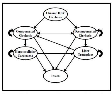 Treatment Alternatives for Hepatitis B Cirrhosis: A Cost-Effectiveness Analysis (Fasiha Kanwal et al.)