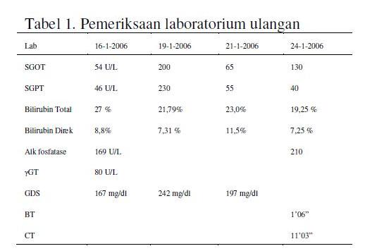 Peran Biopsi Hepar Dalam Menegakkan Diagnostik Ikterus Obstruktif Ekstra Hepatik (Yuliana Sherly M dkk)
